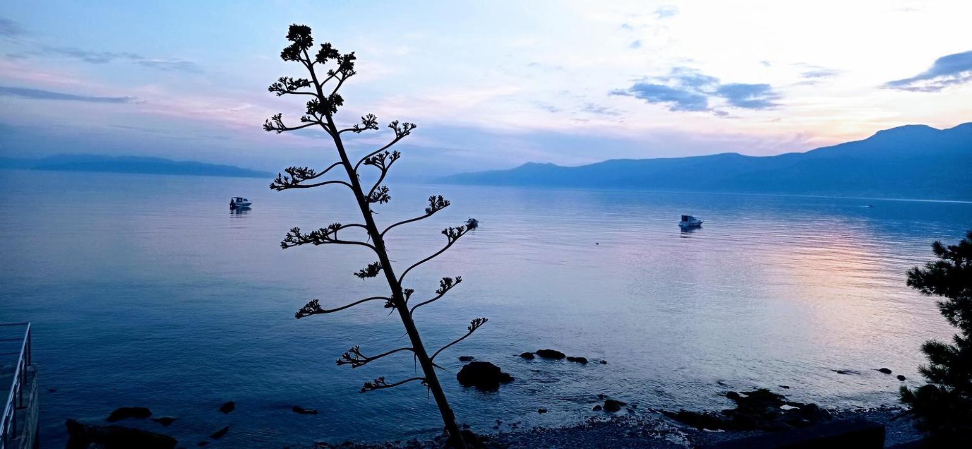 Apartment With View In Rijeka Ngoại thất bức ảnh